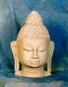 Buddha Head